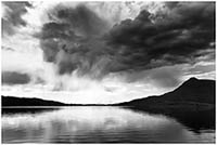 bw198